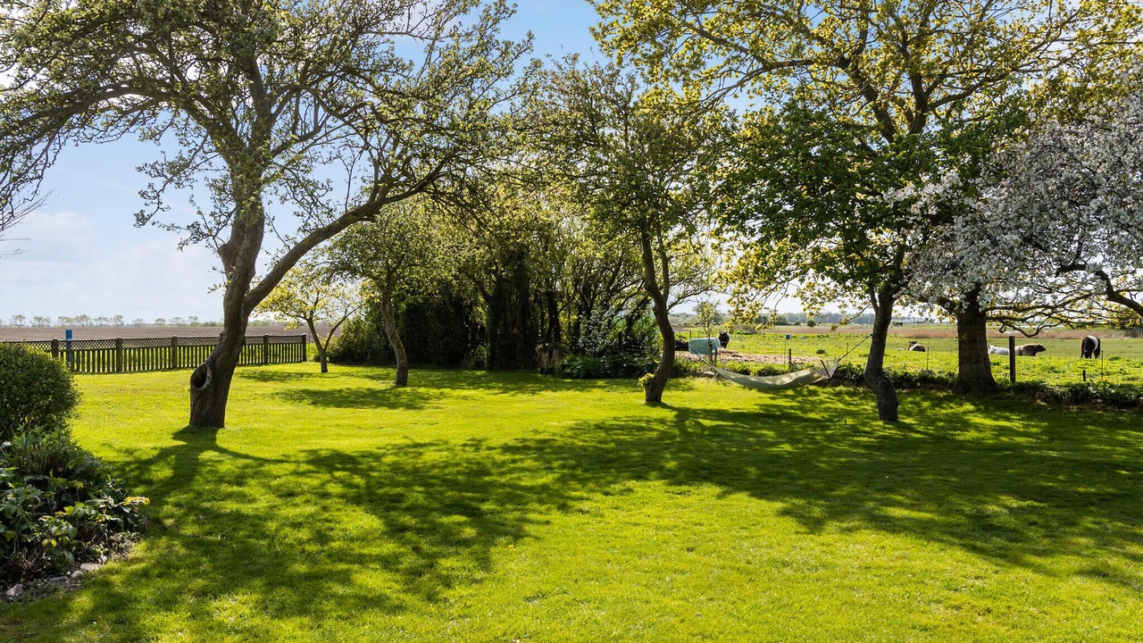 Photo of Others in Bogense