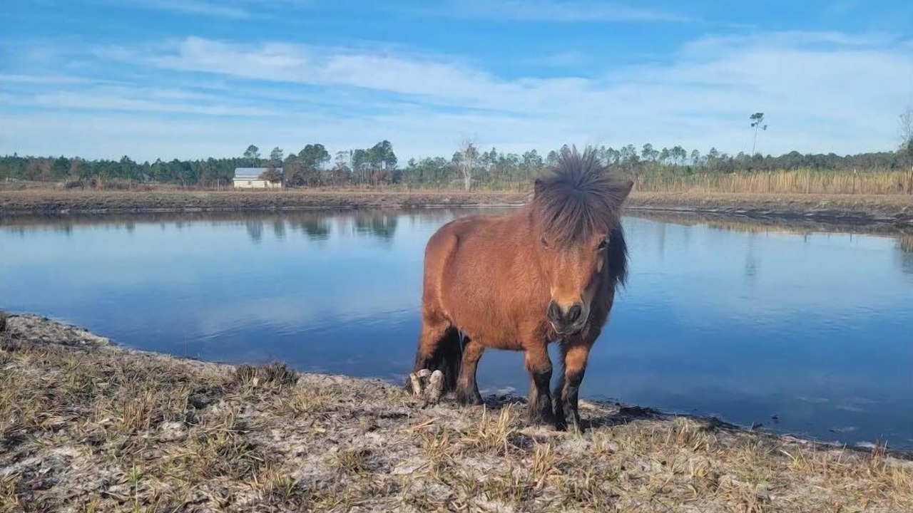 Photo of Others in Baker County