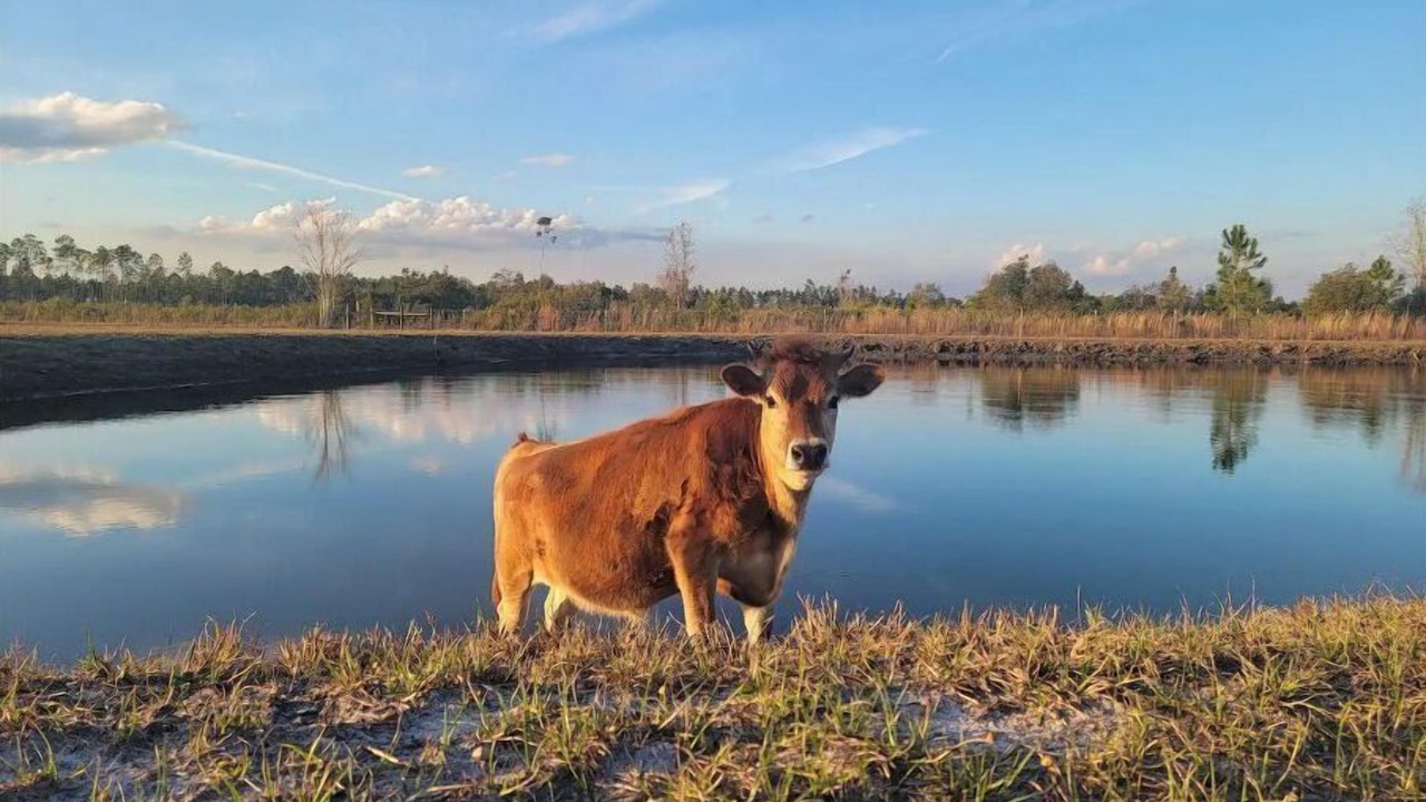 Photo of Others in Baker County