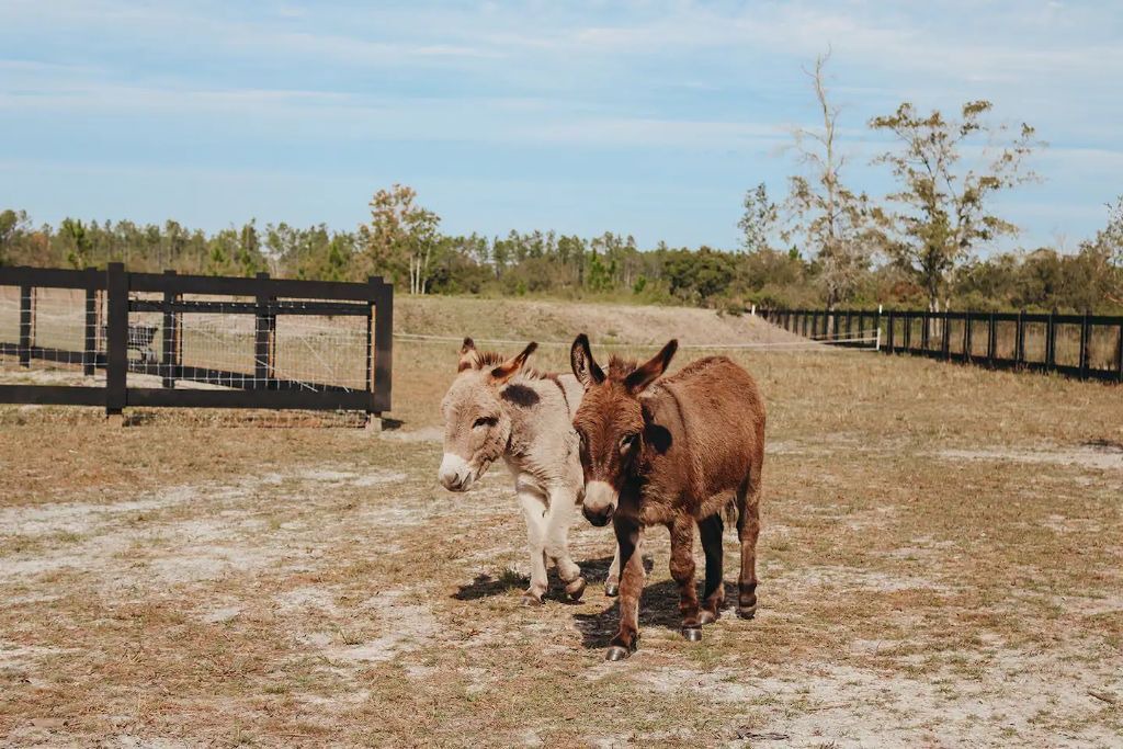 Photo of Others in Baker County