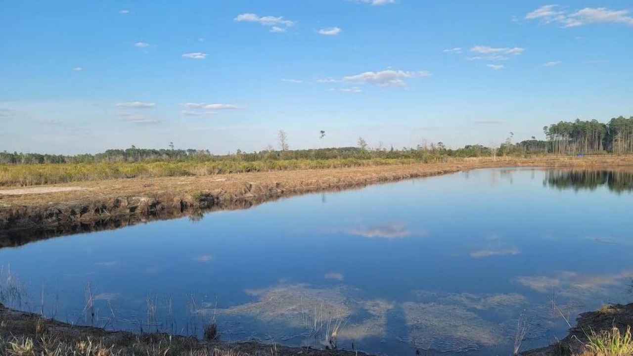 Photo of Others in Baker County