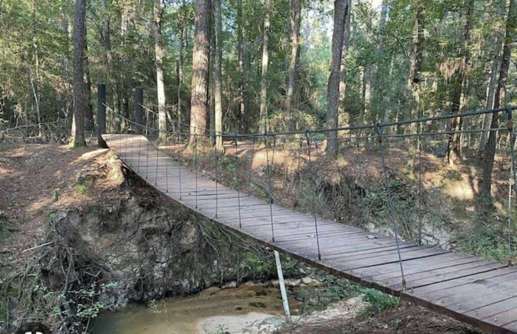 Photo of Others in Conroe