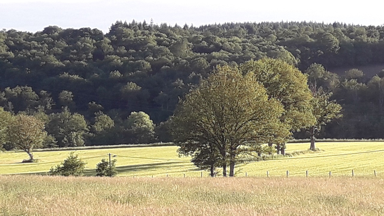 Photo of Outdoor in Saint-Auvent