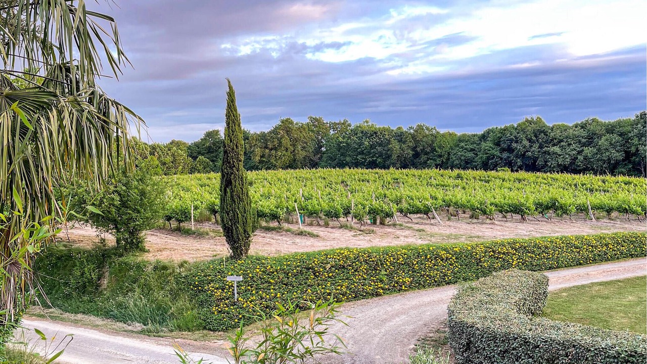 Photo of Others in Mauleon-d'Armagnac