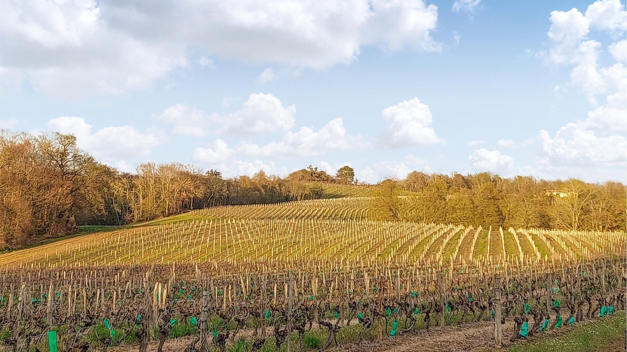 Photo of Others in Mauleon-d'Armagnac