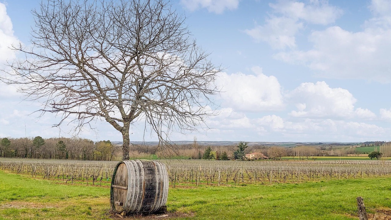 Photo of Others in Mauleon-d'Armagnac