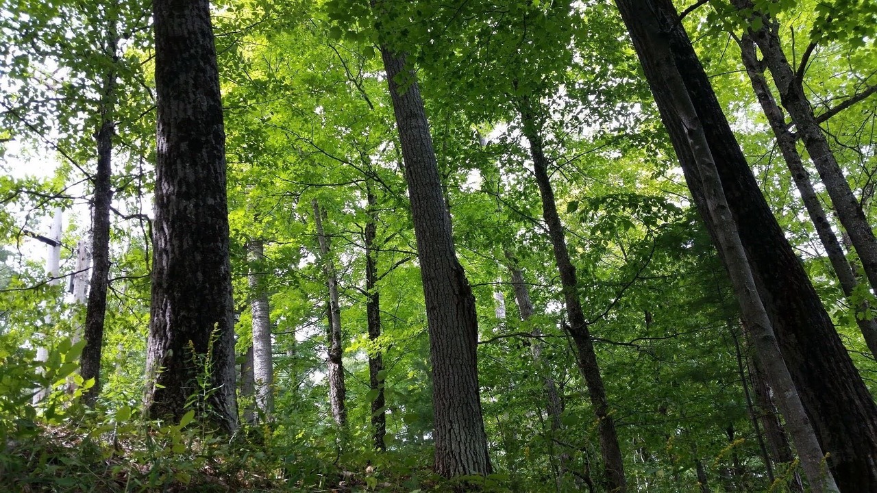 Photo of Others in Colton