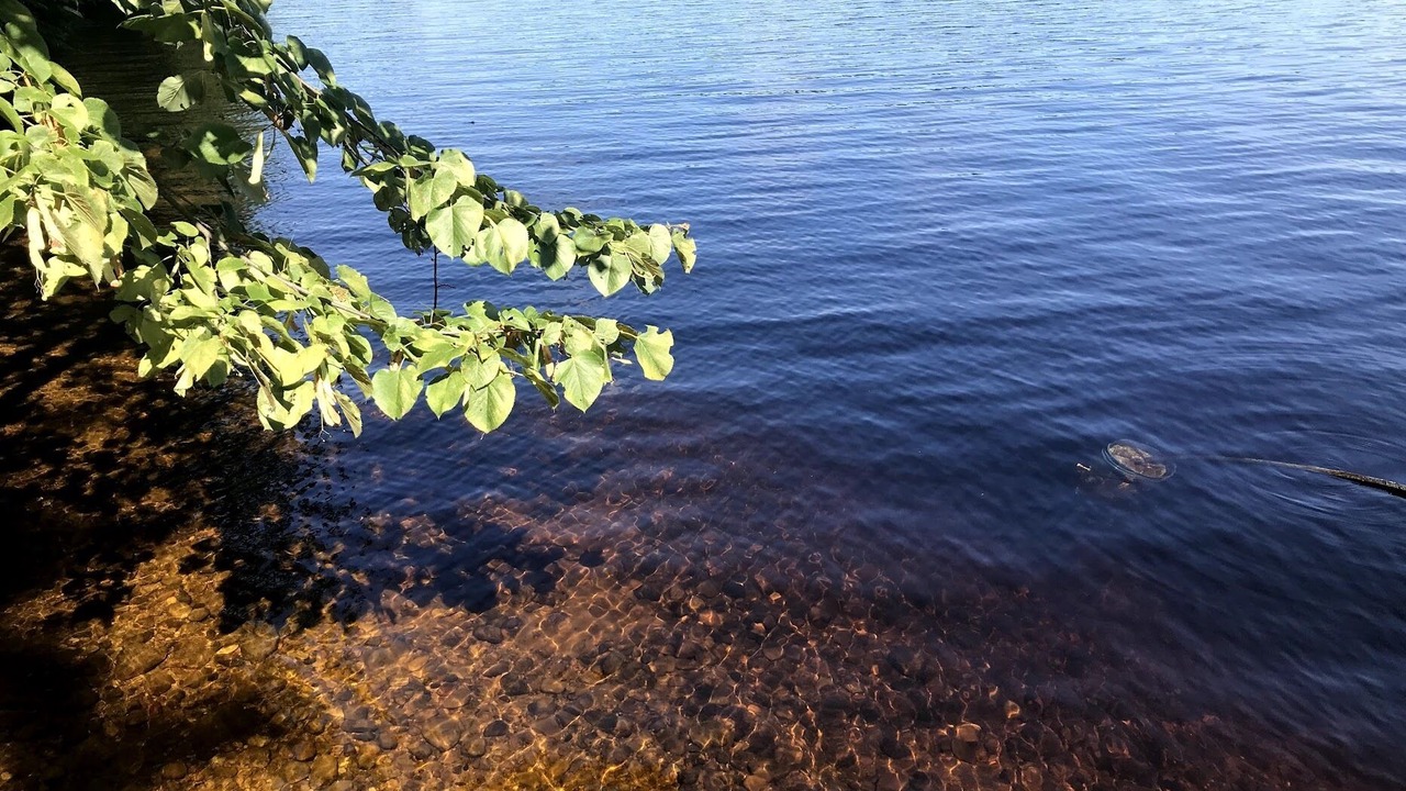 Photo of Others in Colton