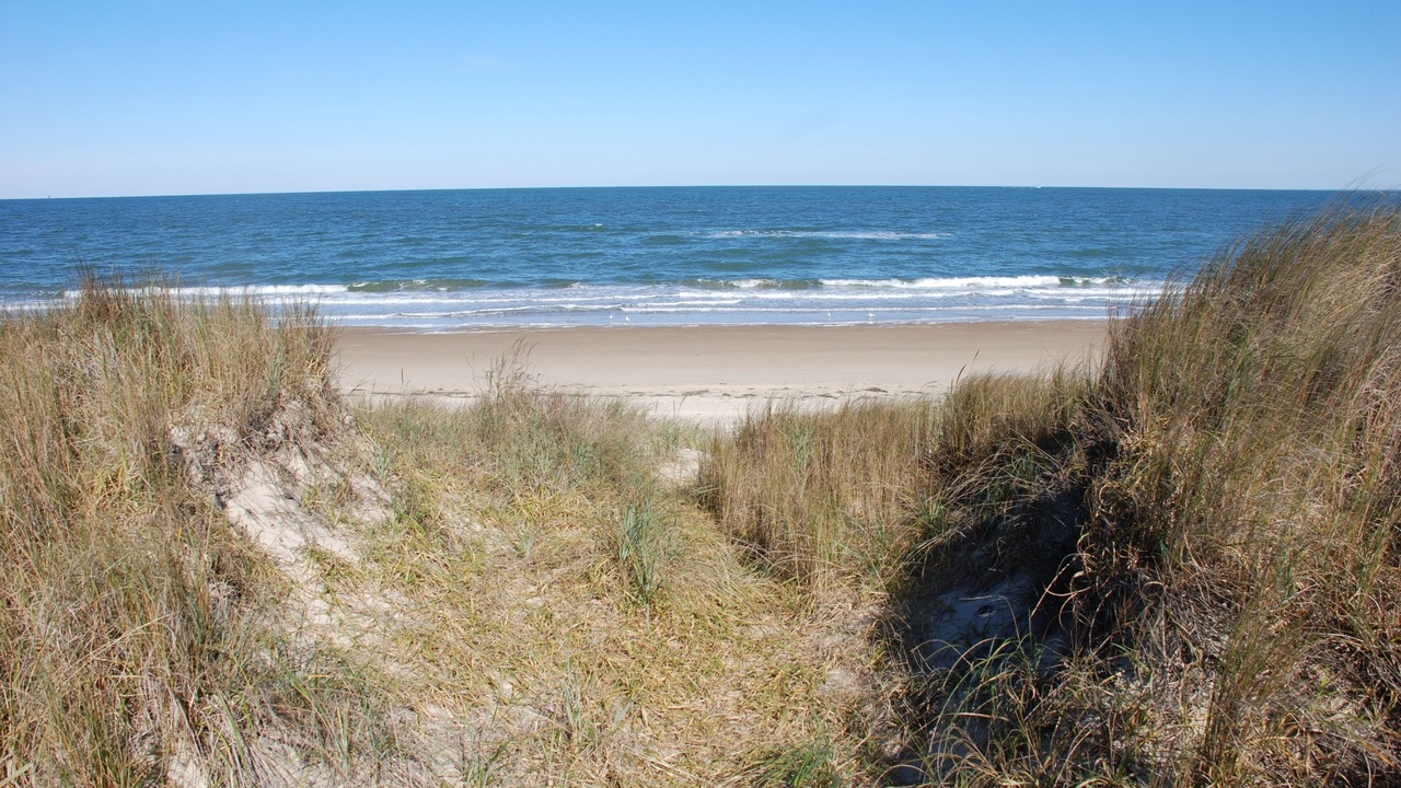 Photo of Others in Norfolk