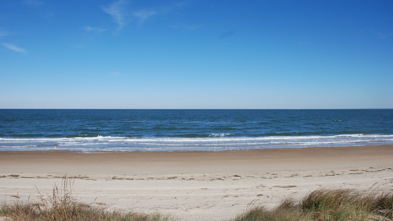 Photo of Others in Norfolk