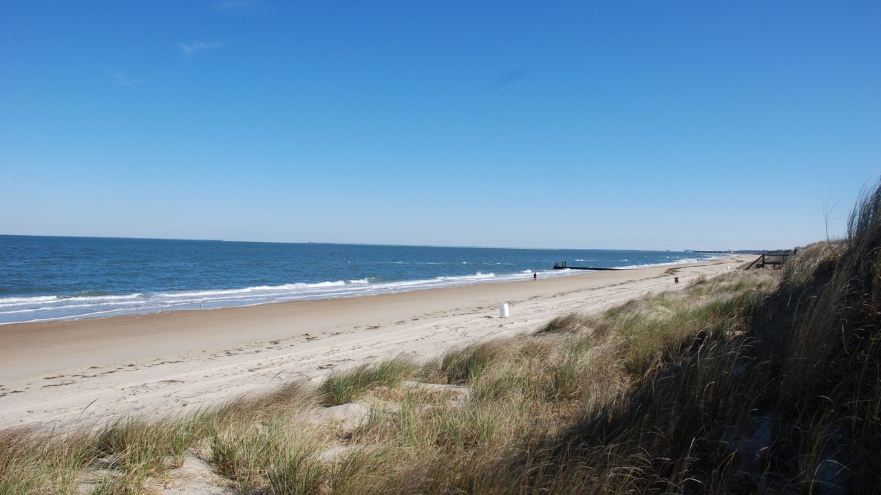 Photo of Others in Norfolk