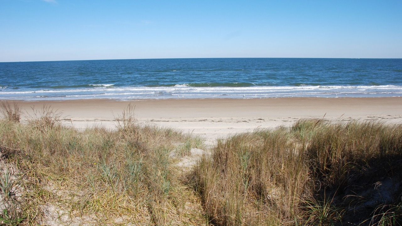 Photo of Others in Norfolk