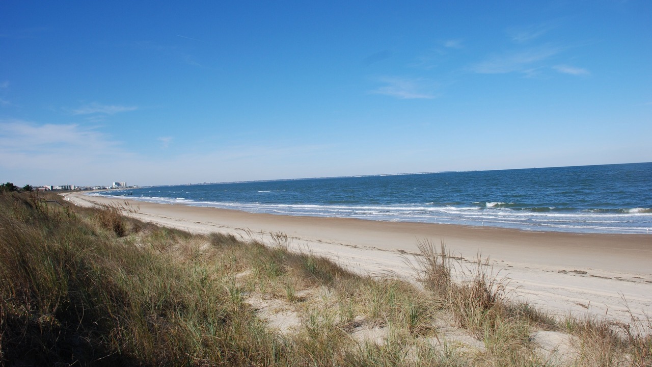 Photo of Others in Norfolk