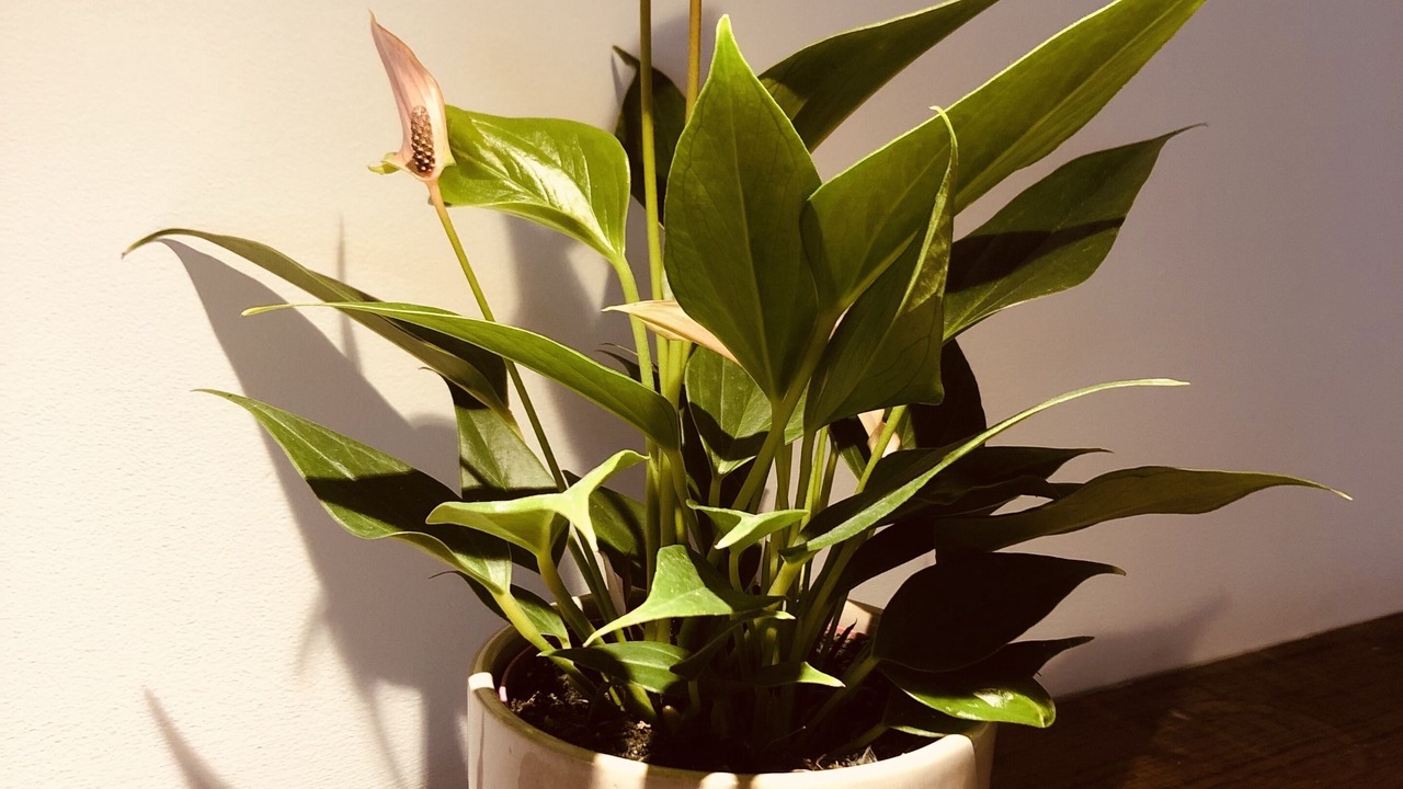 Photo of Others in West Down