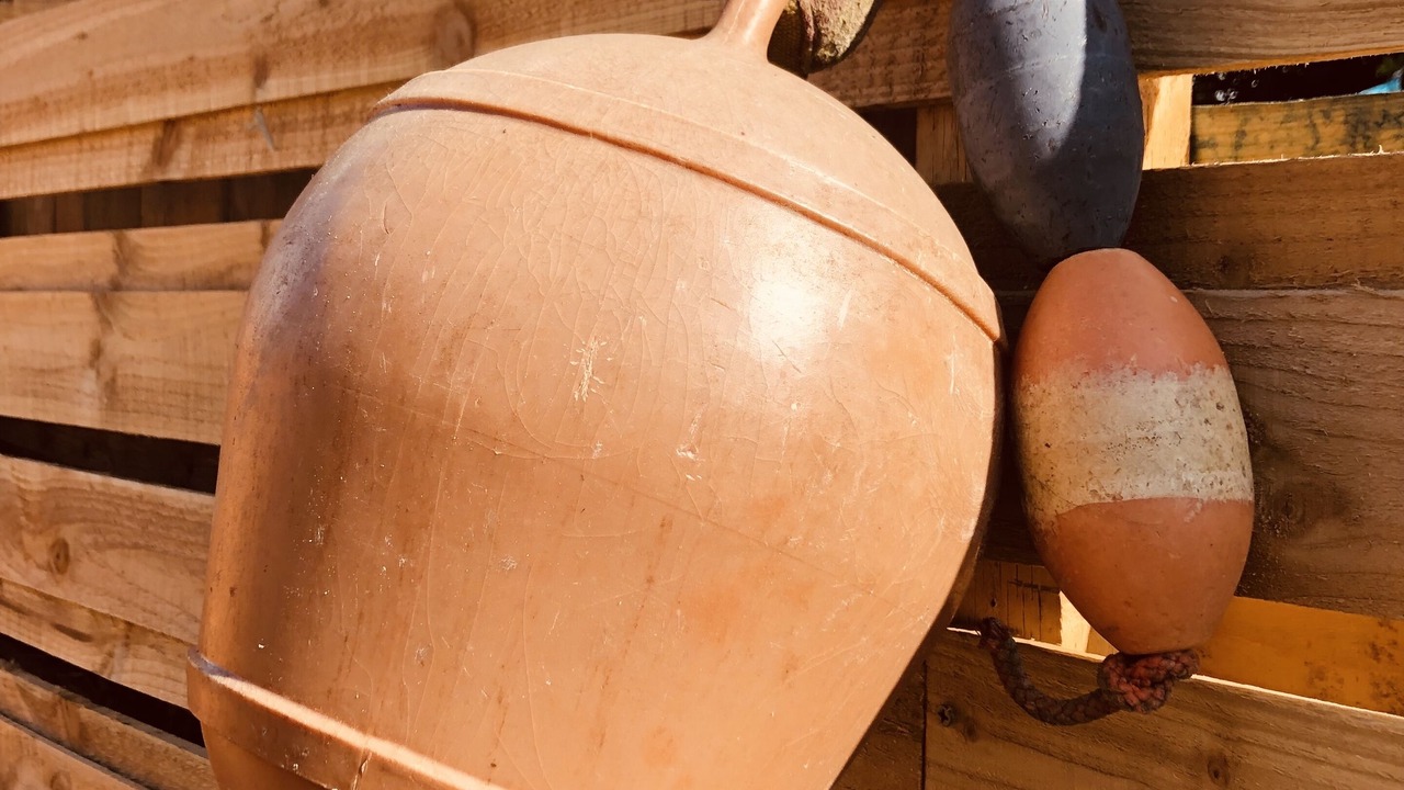 Photo of Others in West Down