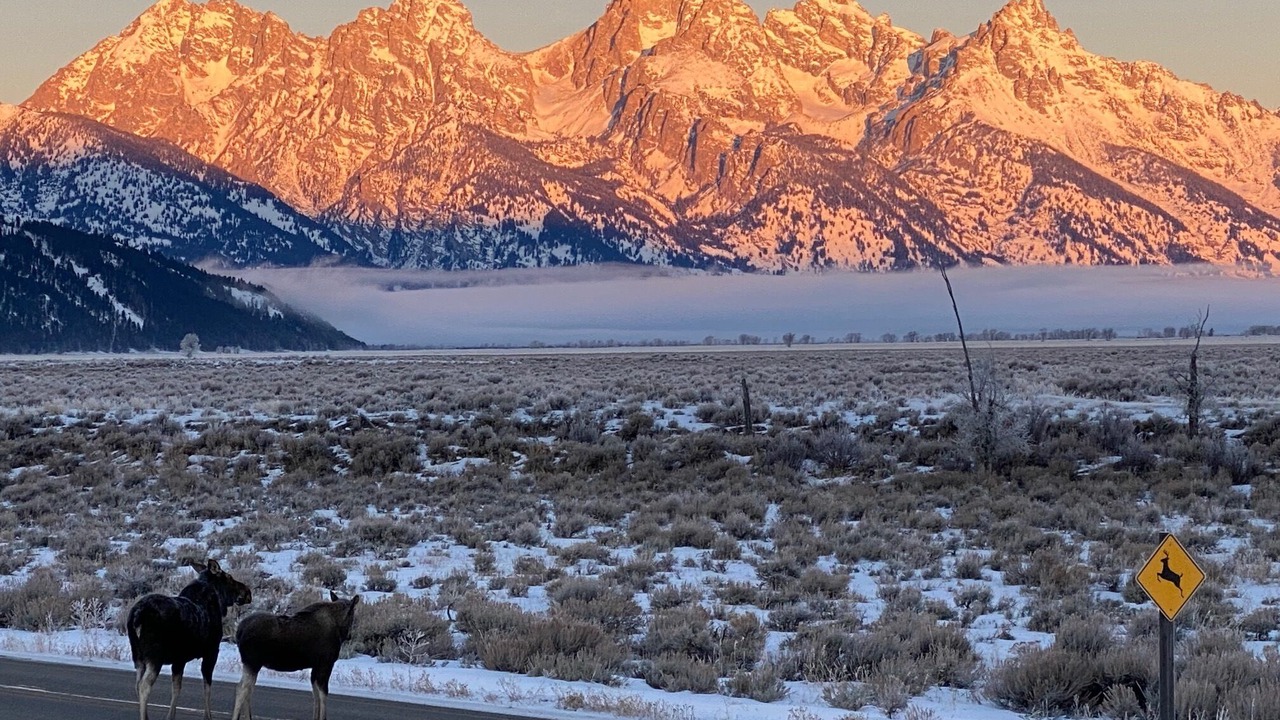 Photo of Others in Hoback Junction