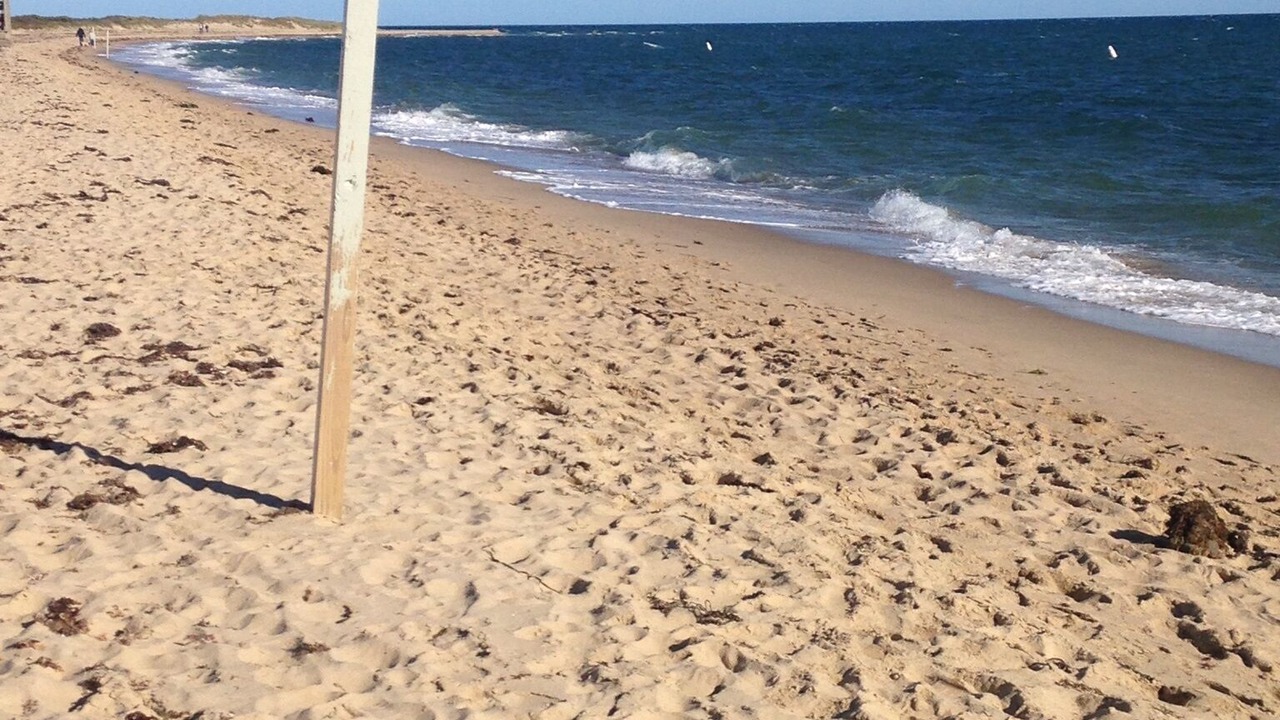 Photo of Others in Mashpee
