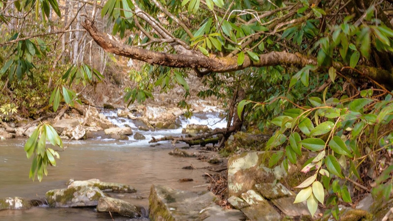 Photo of Outdoor in Topton