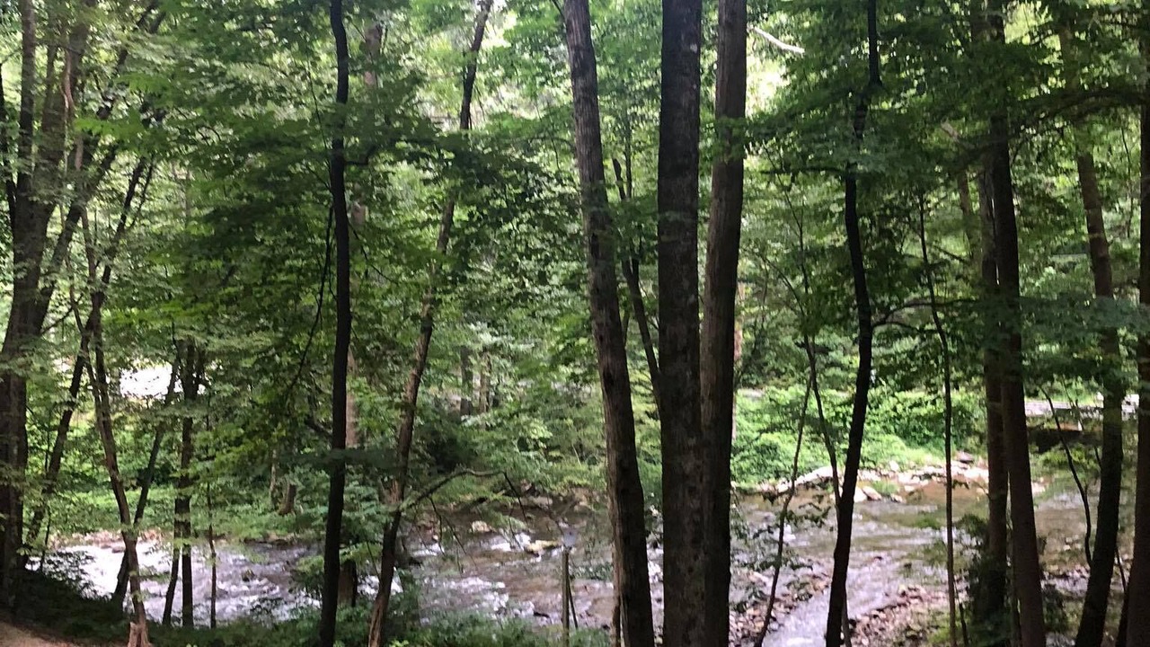 Photo of Outdoor in Topton