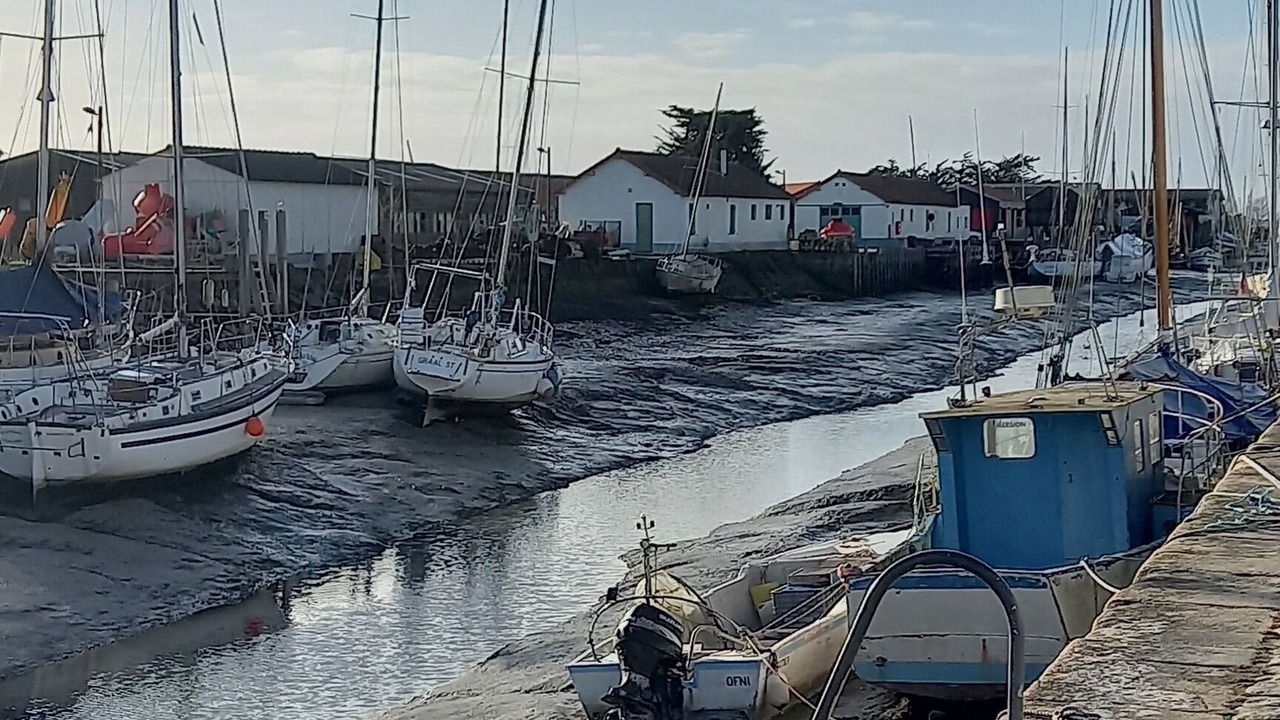 Photo of Others in Barbatre