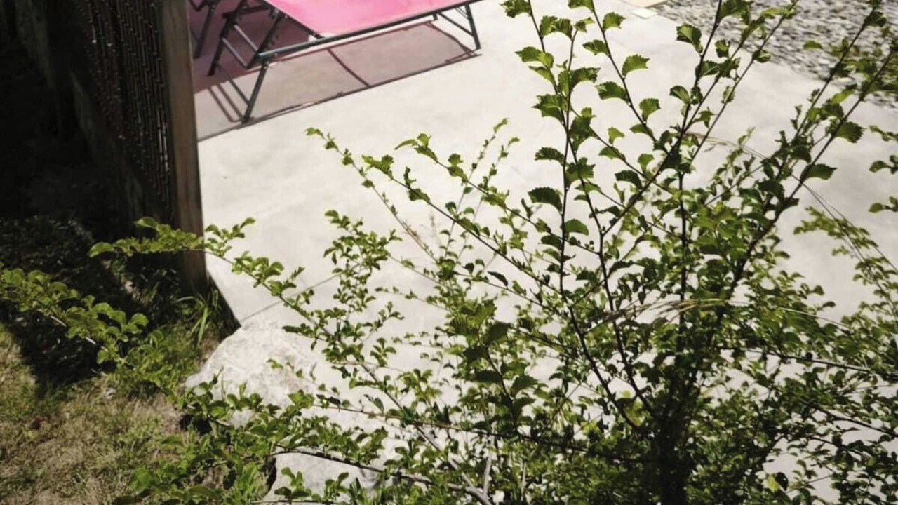 Photo of Outdoor in Barret-sur-Meouge