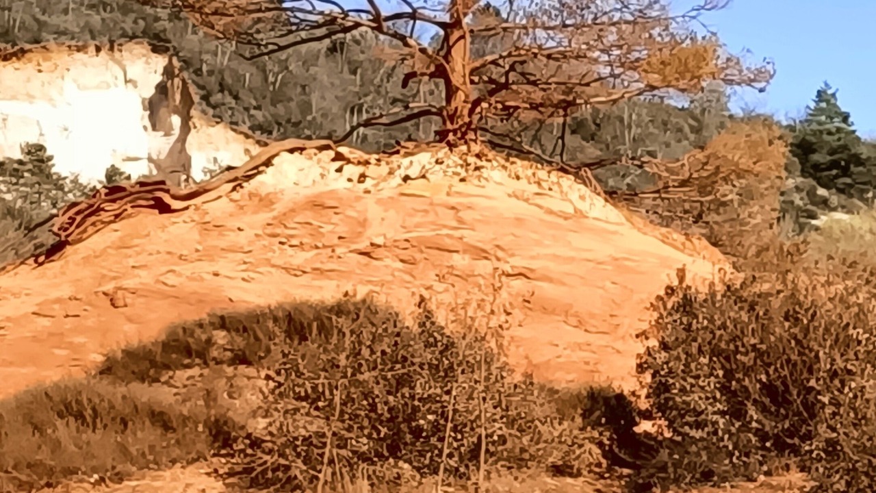 Photo of Outdoor in Barret-sur-Meouge