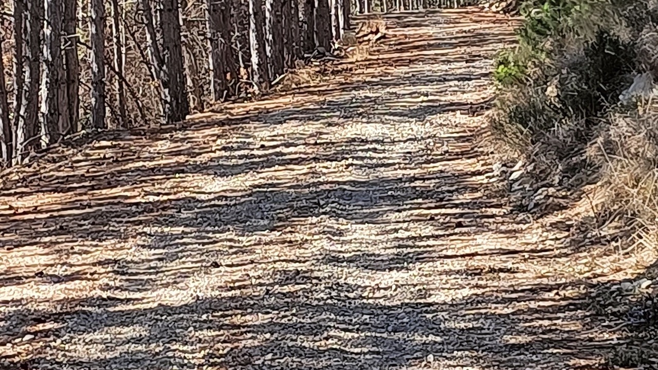 Photo of Outdoor in Barret-sur-Meouge