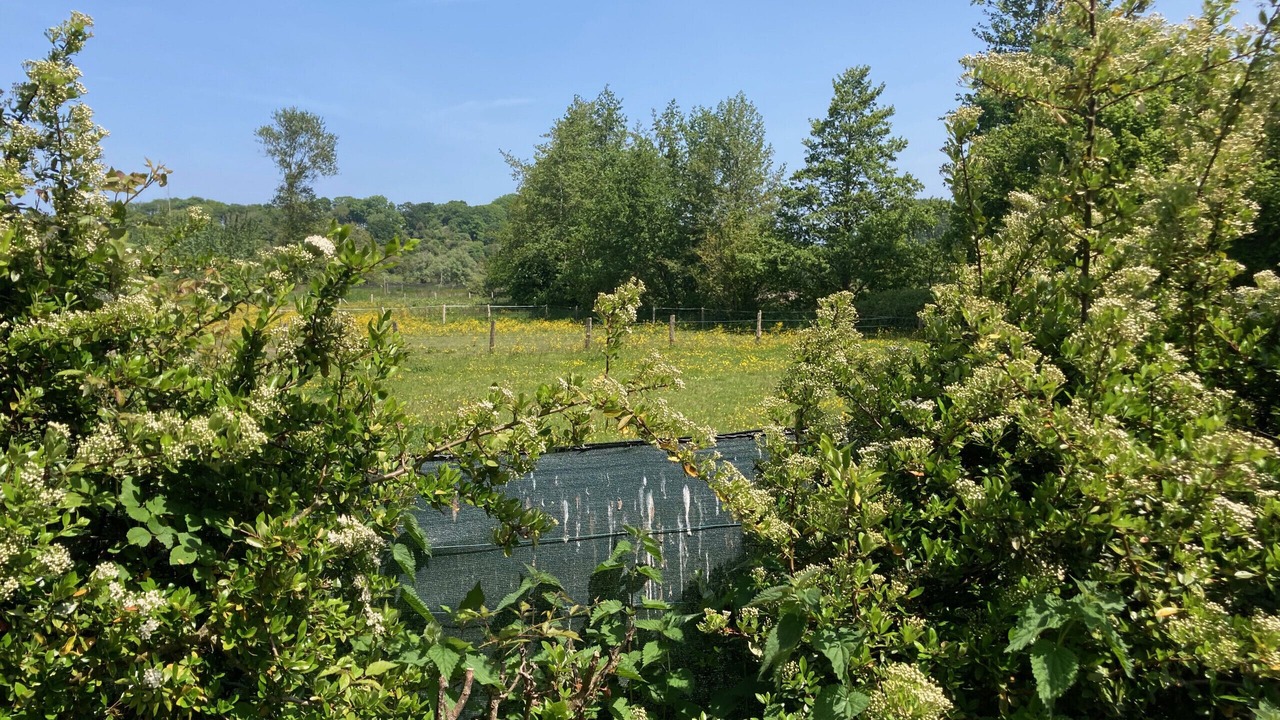 Photo of Outdoor in Longueil