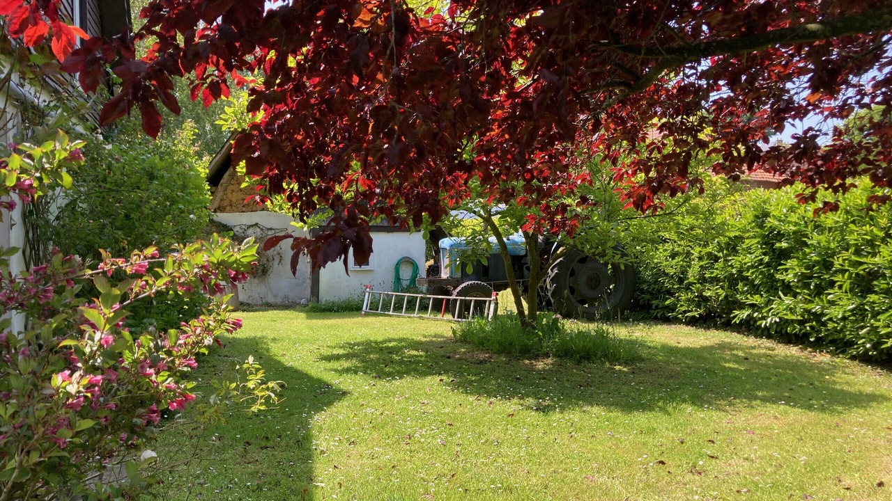 Photo of Outdoor in Longueil