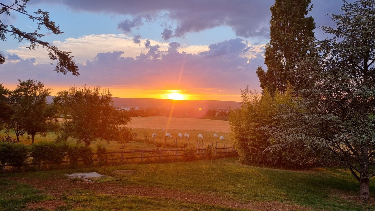 Photo of Outdoor in Chaudenay