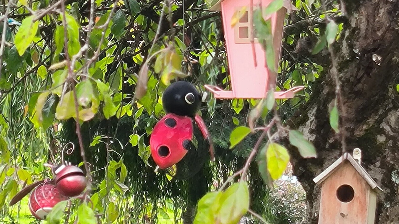 Photo of Outdoor in Chaudenay