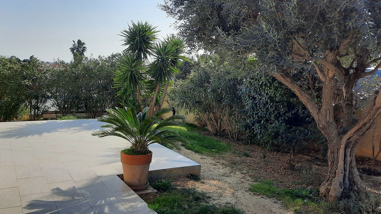 Photo of Outdoor in Latour-Bas-Elne