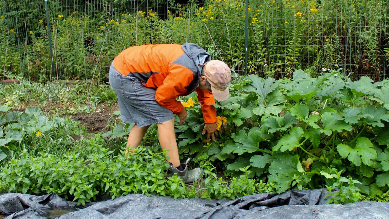 Photo of Outdoor in Etna