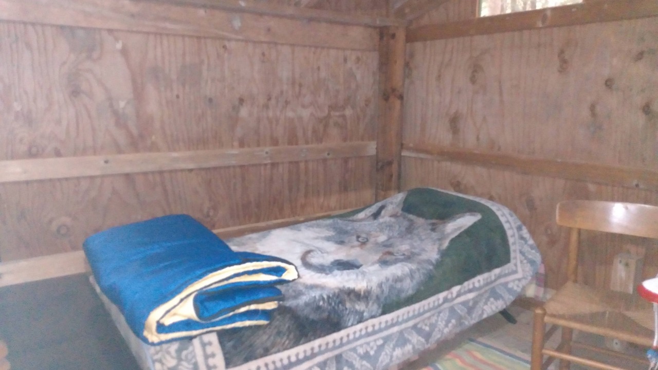 Photo of Others in Etna