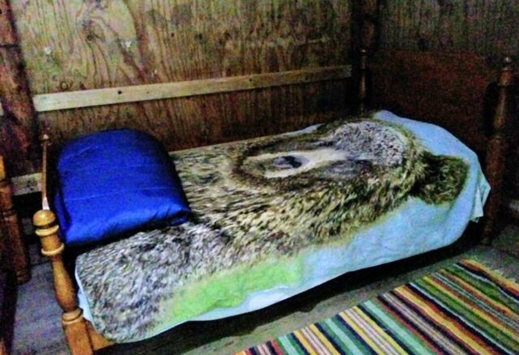 Photo of Others in Etna