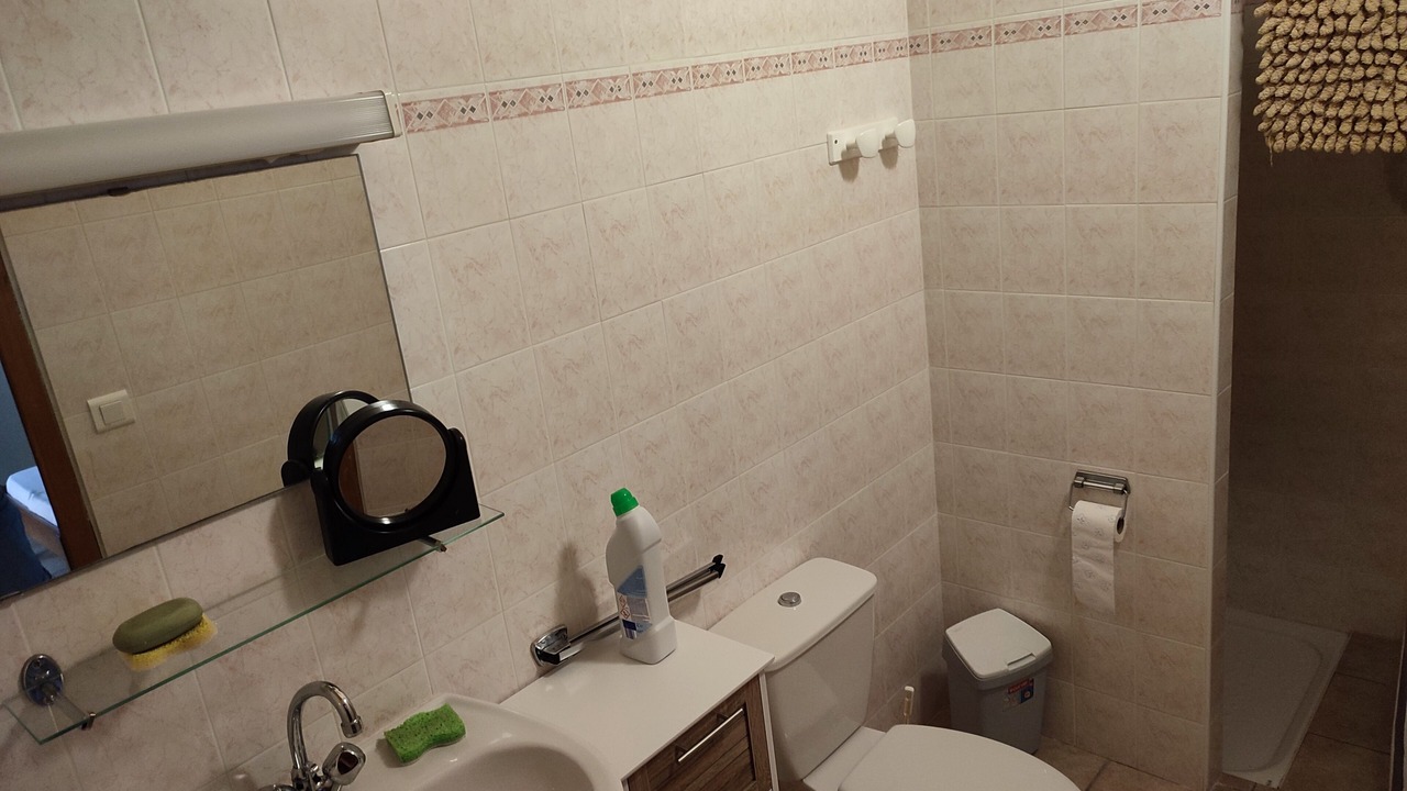 Photo of Bathroom in Peyreleau
