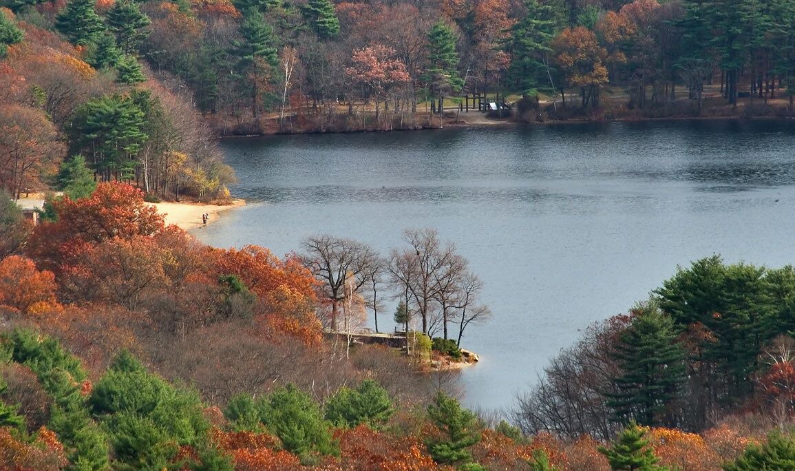 Photo of Others in Quincy