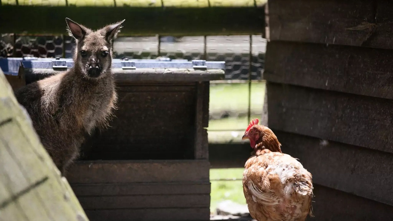 Photo of Others in Courtils