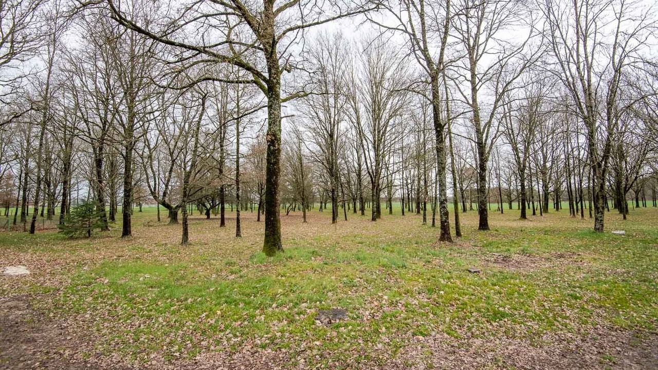 Photo of Outdoor in Beaumont-Village