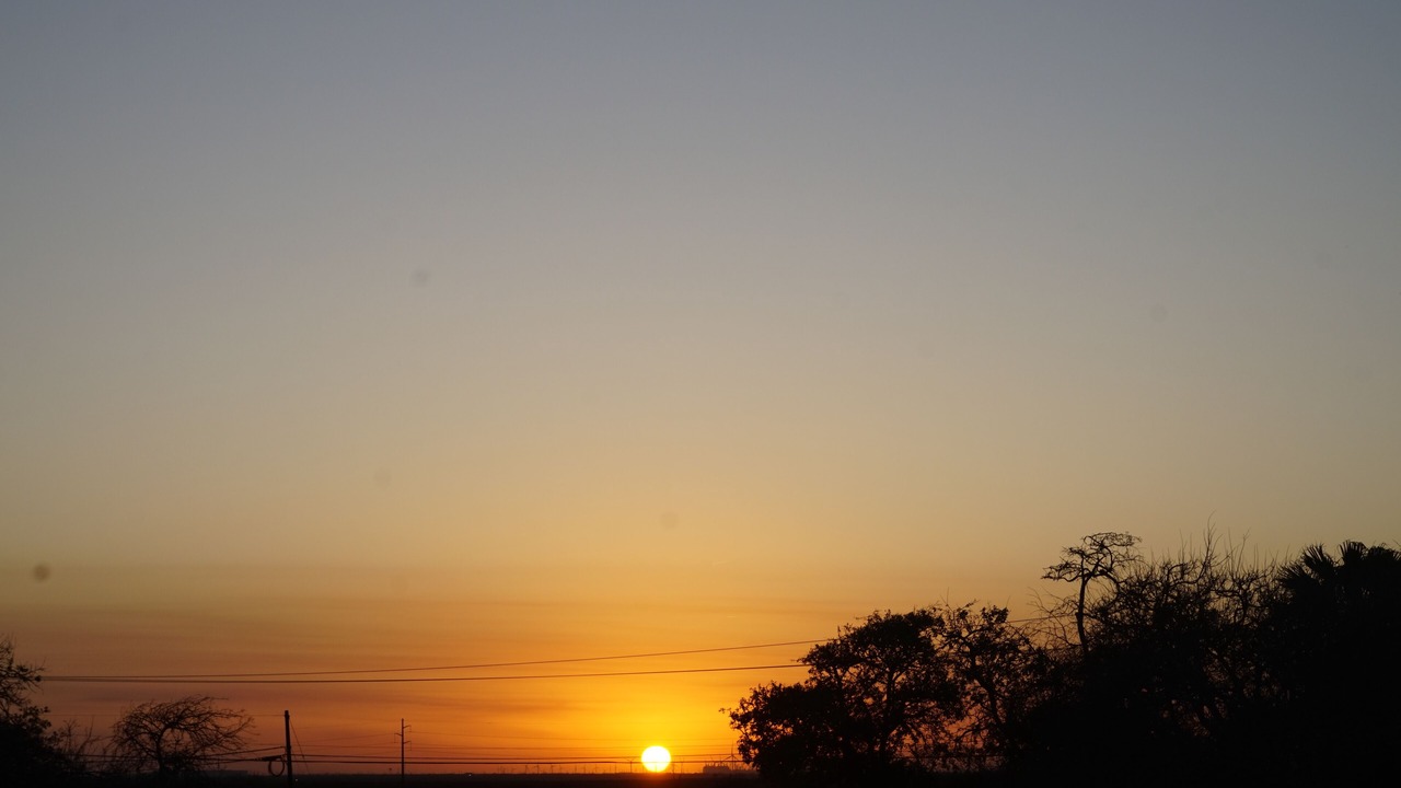 Photo of Others in Aransas Pass