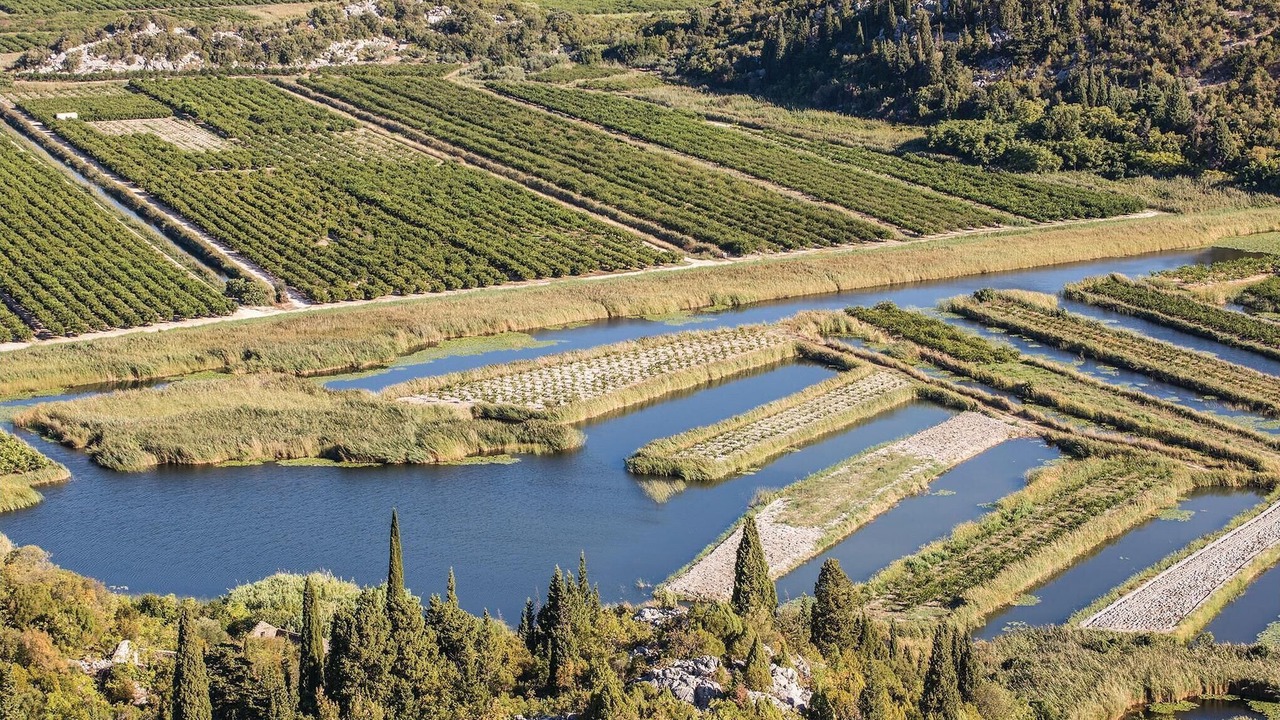 Photo of Others in Opuzen