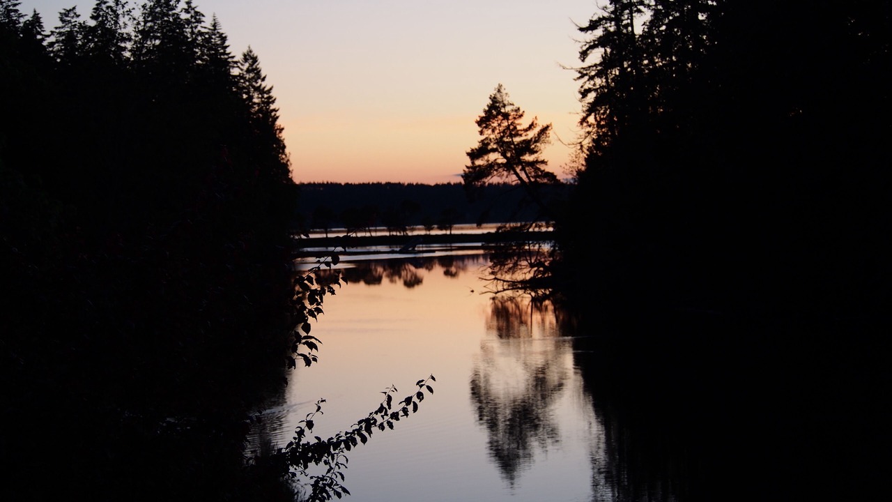 Photo of Others in Longbranch