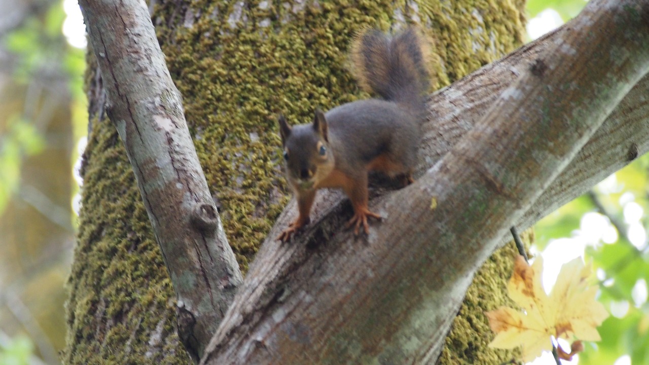 Photo of Outdoor in Longbranch