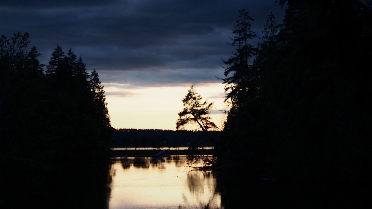 Photo of Outdoor in Longbranch
