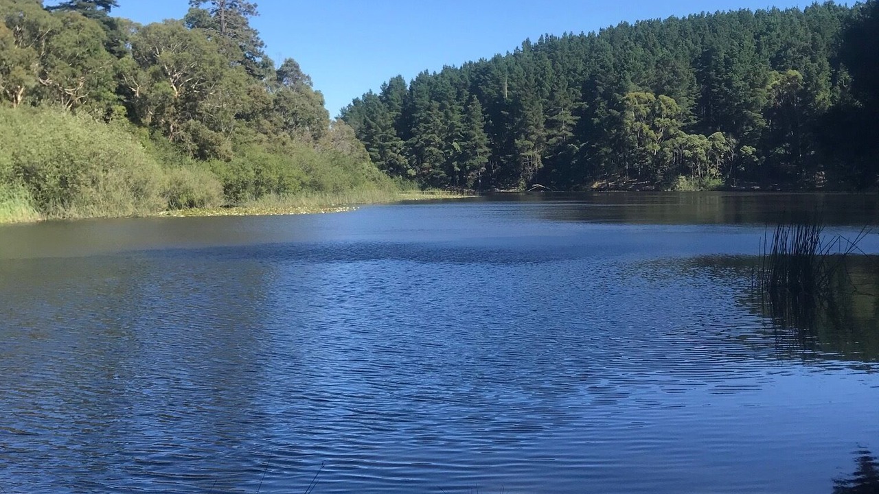 Photo of Others in Riddells Creek