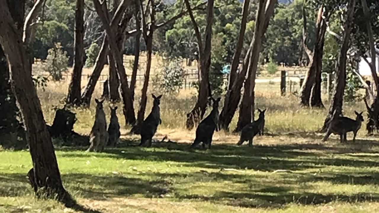 Photo of Others in Riddells Creek