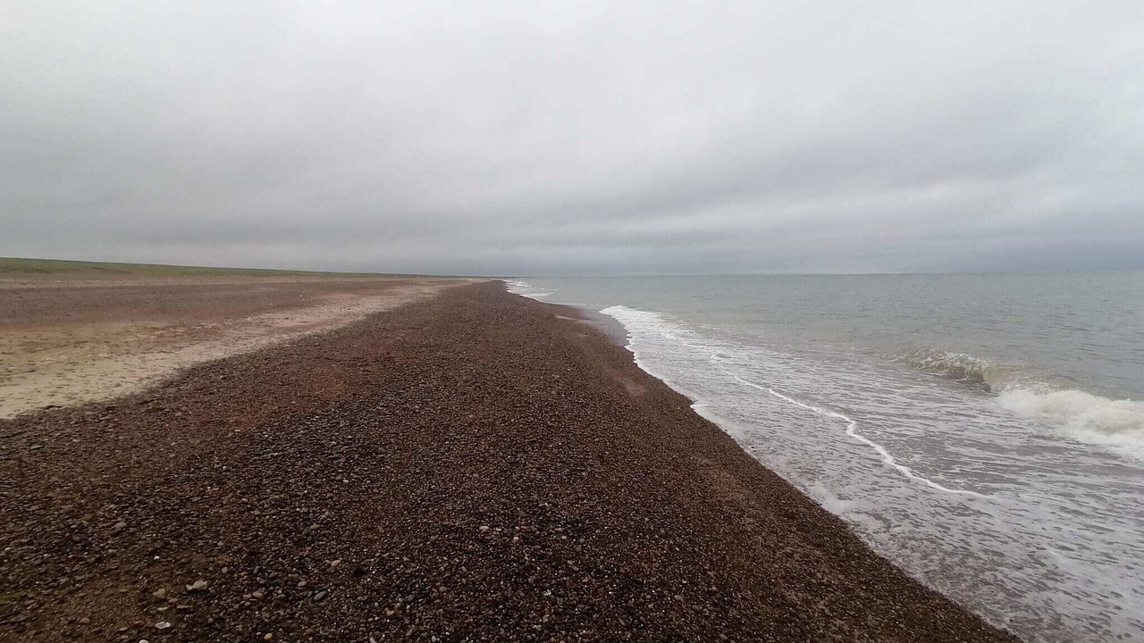 Photo of Others in Lild Strand