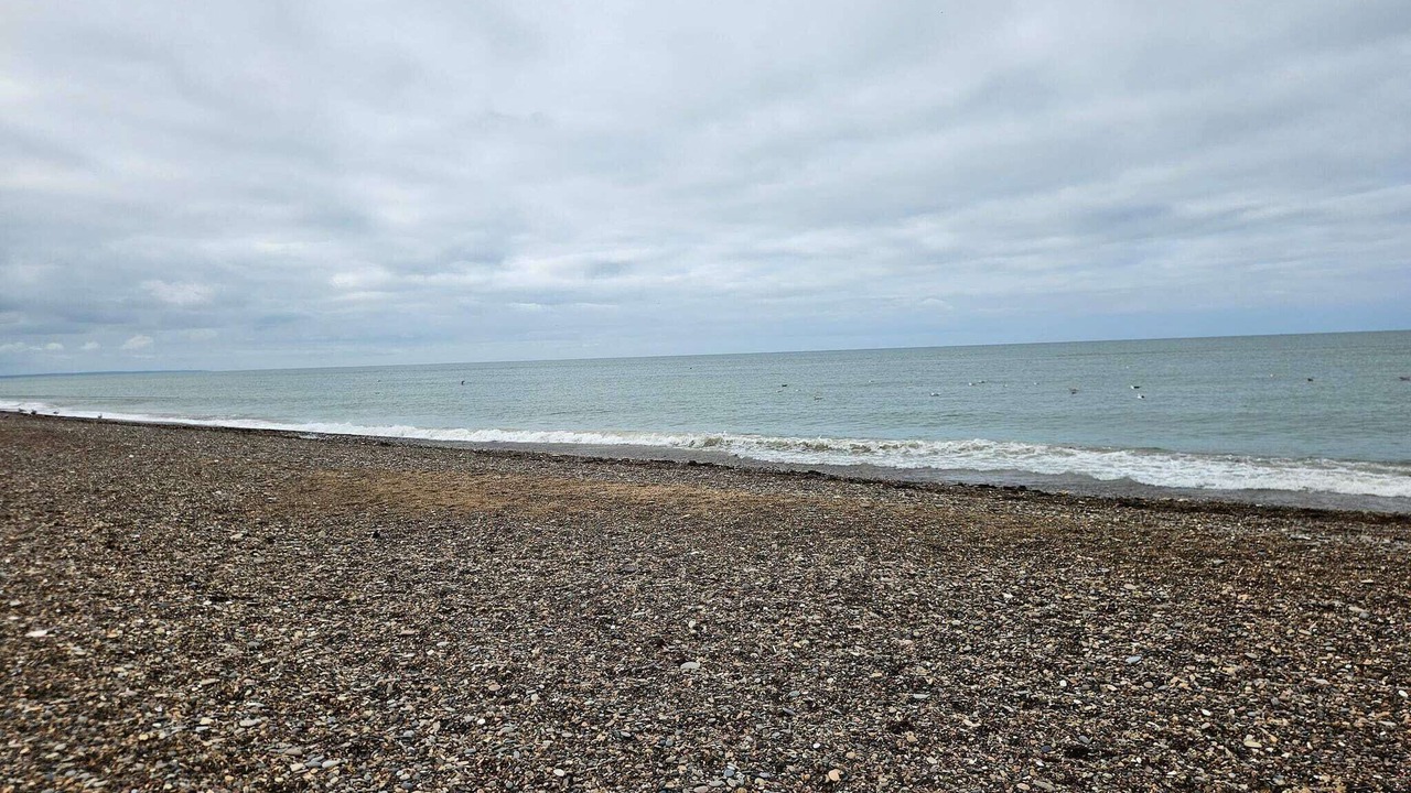 Photo of Others in Lild Strand