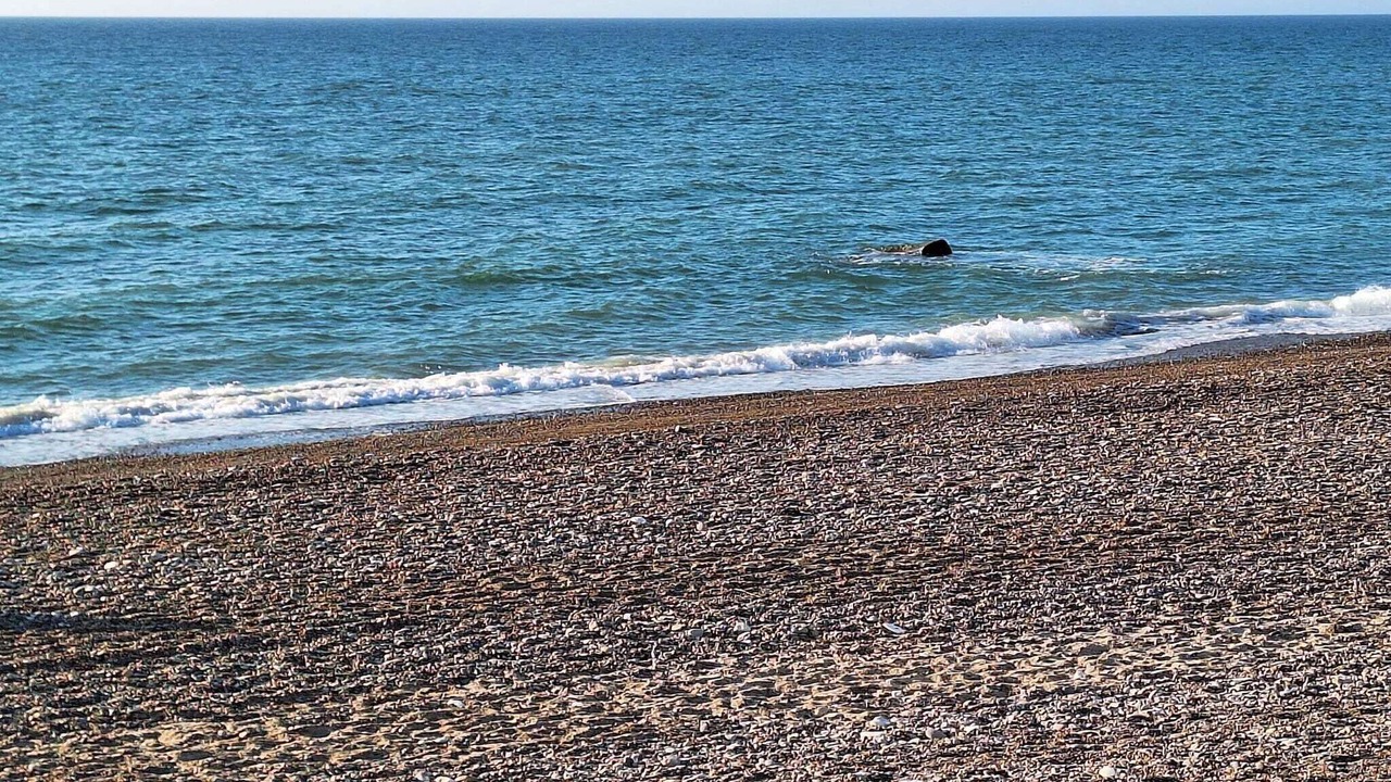 Photo of Others in Lild Strand