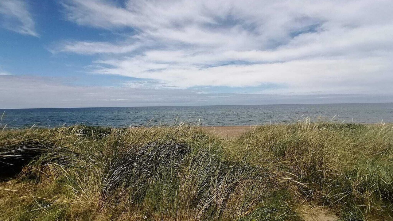 Photo of Others in Lild Strand